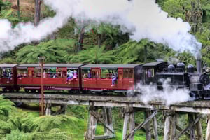 From Melbourne: Puffing Billy and Penguin Parade Combo Tour