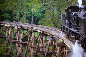 Melbourne: Viaggio privato sul treno a vapore Puffing Billy