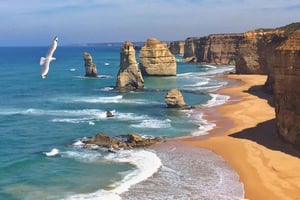 Excursão de 1 dia à Great Ocean Road com guia de turismo particular