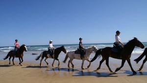 Gunnamatta Trail Rides