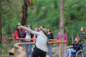 Luxe Bus Great Ocean Road Coastal Spectacular (rannikkokulttuuri)