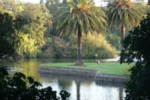 Melbourne: Botanic Gardens & Sports Precinct Walking Tour