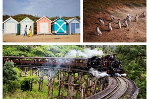 Мельбурн: Парад пингвинов Puffing Billy и экскурсия по Brighton Boxes