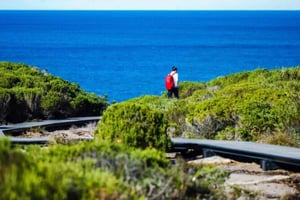 Melbourne: Dagstur till Great Ocean Road