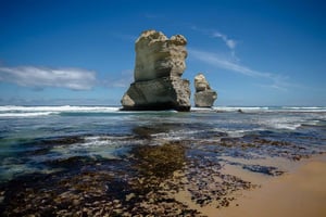 Melbourne: tour della Great Ocean Road, 12 Apostoli e foresta pluviale