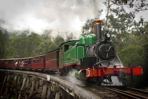 Melbourne: Halvdagsoplevelse med Puffing Billy-damptoget
