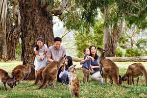 Melbourne Highlights & Aussie Wildlife Express Tour