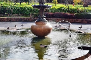 Excursion à Melbourne, au clair de lune et à la journée de la parade des pingouins