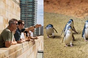 Melbourne Magic: Kaupungin kohokohdat ja pingviiniparaati-kierros