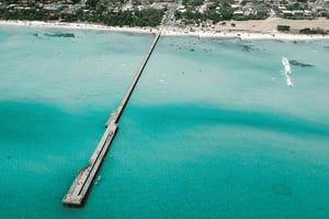 Melbourne: Mornington Peninsula Mornington Peninsula och Moonlit Sanctuary Tour