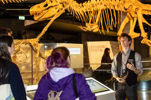Melbourne: Museum Dinosaur Tour with Guide