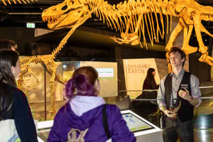 Melbourne: Tour guiado pelo Museu dos Dinossauros