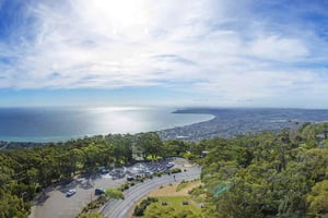 Melbourne : Visite touristique de la péninsule en voiture à la journée