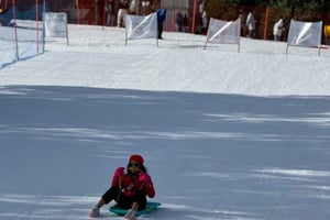 Melbourne: Private ture i bjergsne og Redwood-skoven