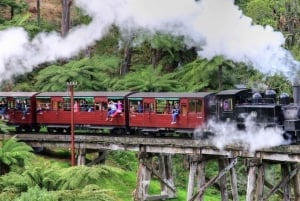 Melbourne: Puffing Billy og Healesville Sanctuary Scenic Tour