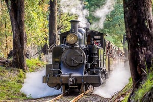 Melbourne Puffing Billy & Penguins -matkapäivä