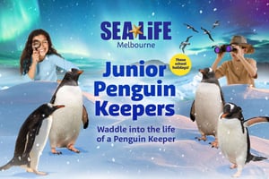 Melbourne: SEA LIFE Aquarium Entrance Ticket