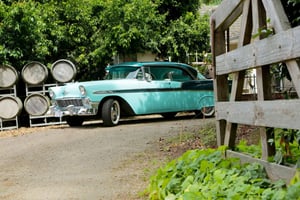 Melbourne: Chevrolet '56 -autolla: Yarra Valley Food & Wine Tour
