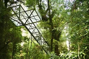 Melbourne: Yarra Valley signaturtur