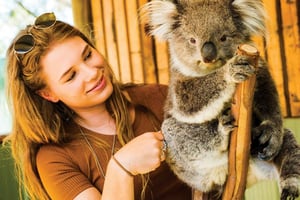 Moonlit Sanctuary Conservation Park Entry Ticket