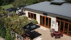 Morning Sun Vineyard