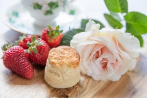 Jardins botaniques de roses de Mornington