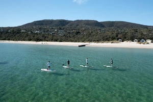 Mornington Peninsula: SUP, vandretur og Hot Springs-tur med frokost