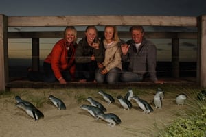 Phillip Island Nature Park Full-Day Tour from Melbourne