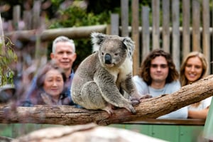 Yksityinen päiväretki Melbournessa