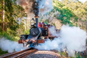Yksityinen retki Dandenong Ranges -vuoristoon ja Puffing Billy -höyryjunalla