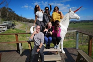 Tour privato: Vino, formaggio, gin e cioccolatini della Yarra Valley
