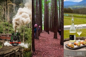 Puffing Billy, Forest Trails & Yarra Valley Discovery Tour