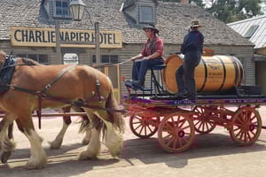 Sovereign Hill & 12 Apostle Private Tour – Up to 14 pax