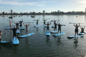 St Kilda Lección en grupo de Stand-Up Paddleboarding