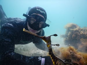 Freediving with WaterMaarq