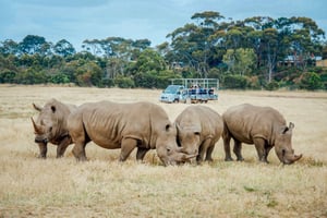  Werribee Open Range Zoo Admission Ticket