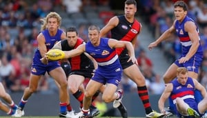 Western Bulldogs
