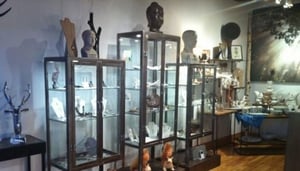 Wunderkammer Antiques