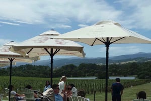 Yering Winery, LV Chandon Winery, Puffing Billy Steam Train