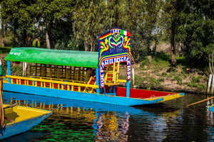 CDMX: Private tour of Xochimilco, Coyoacán, and the Frida Museum