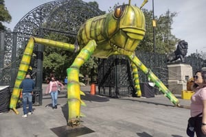 Chapultepec Castle Guided Tour