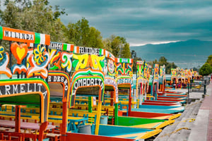 Coyoacán y Xochimilco: Descubre un oasis en Ciudad de México