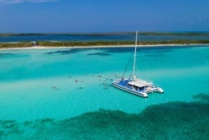 Cozumel: El Cielo, Palancar Reef, and Beach Party with Food