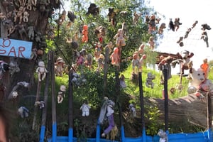 'Floating Party in Xochimilco: Canals, Tequila, and Tradition'