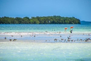 Cancun/Playa del Carmen: Isla Holbox Tour