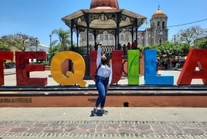 From Guadalajara: Town of Tequila & Jose Cuervo Factory Tour