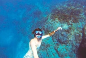 From Loreto: Coronado Island Snorkel