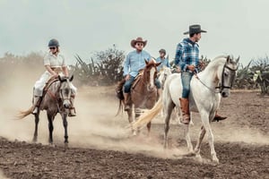From Mexico City: Horseback Riding Mexico