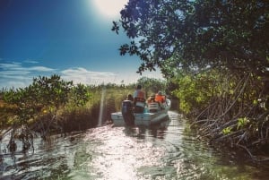 From Riviera Maya: Mayan Ruins & Sian Kaan Reserve Tour