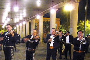 Garibaldi de Noche con Cena en Bellini